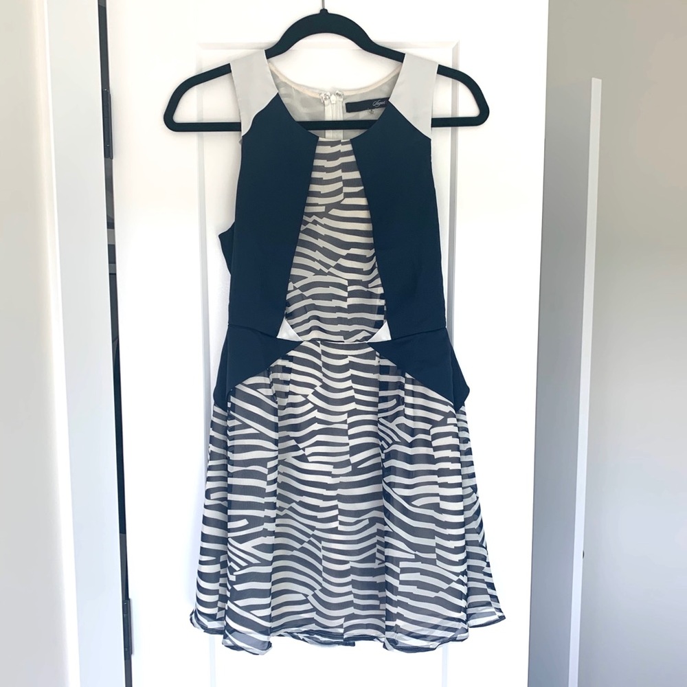 Navy and White Dress